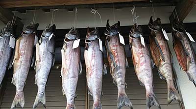 魚の保存食